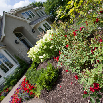 Front Entry Planting