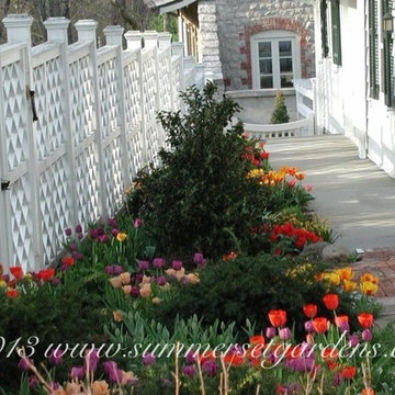 Front Entry Tulip Garden