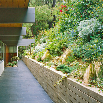 Front Entry with planted hillside