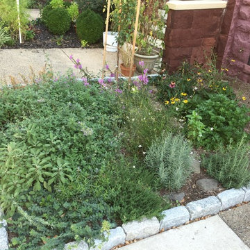 Front Garden, Rear Garden & Full Plantings for Urban Townhome