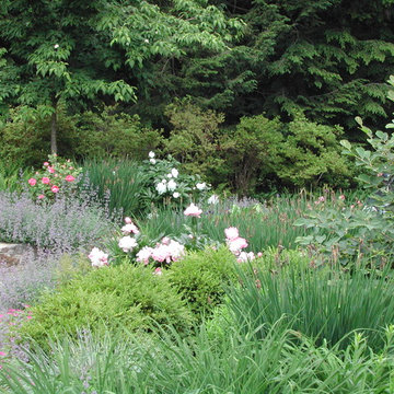 Front Landscapes: Flowering Entry Gardens