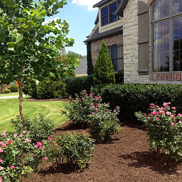 Front Landscaping and Rose Bushes