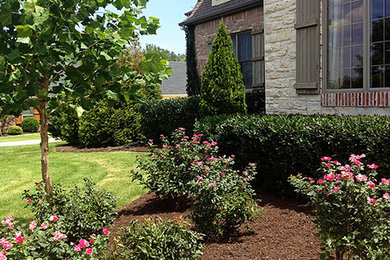 Свежая идея для дизайна: большой участок и сад на переднем дворе в классическом стиле с мульчированием - отличное фото интерьера
