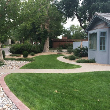 Front Lawn Landscape and Walkway