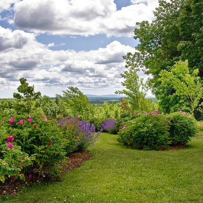 Photo of a huge traditional backyard flower bed in Boston.