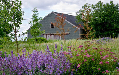 Landscape Tour: Two Acres of Rural Hillside in Maine