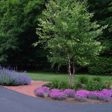 Front Walk and Garden