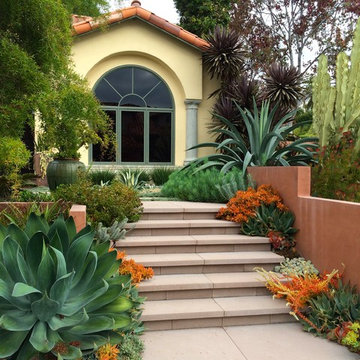 Front yard