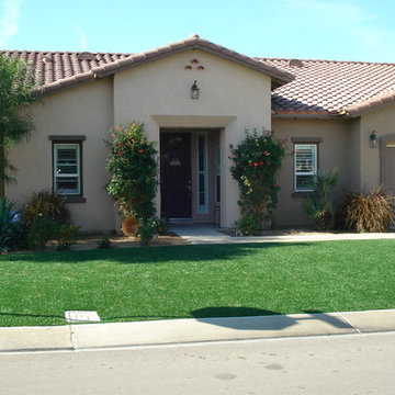 Front Yard