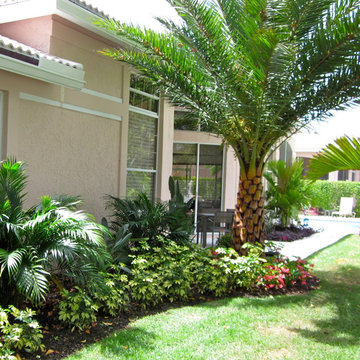 Front Yard/Back Yard/Pool Landscapes