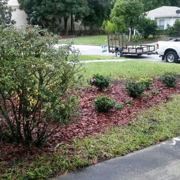 Front Yard Cleanup and Landscaping