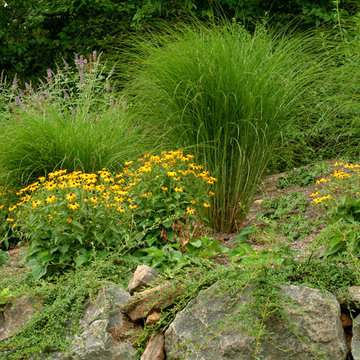 Front Yard Driveway and Planting Design