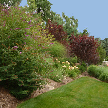 Front Yard Driveway and Planting Design