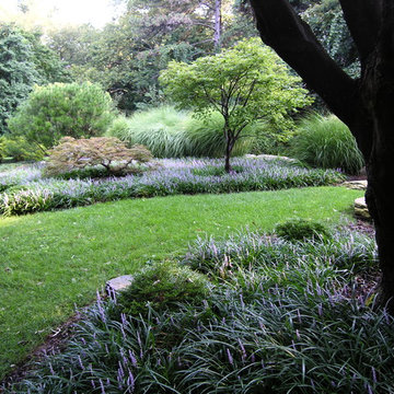 Front yard for Japanese-style home