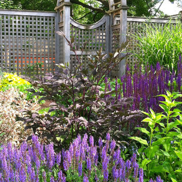 Front Yard Garden