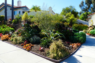 サンディエゴにある広いトロピカルスタイルのおしゃれな前庭 (庭への小道、日向、ゼリスケープ) の写真