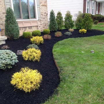 Front Yard Landscape Project in Buffalo