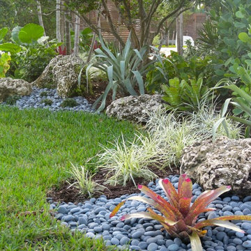 Front yard landscape South Florida