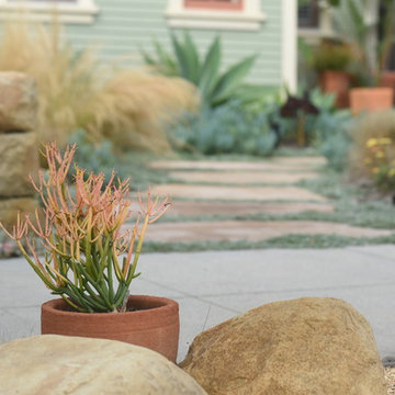 Front Yard Landscape