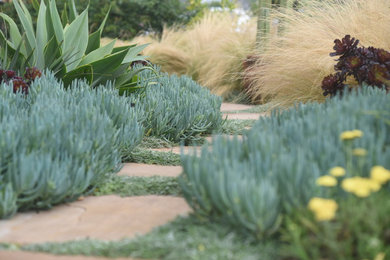 This is an example of a small coastal drought-tolerant and full sun front yard stone garden path in Santa Barbara.