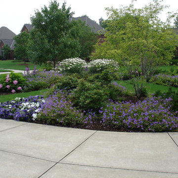 Front Yard Landscapes