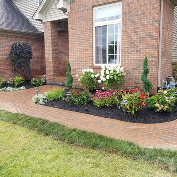 Front Yard Landscaping & Walkway