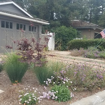 Front Yard Makeover In Newport Beach