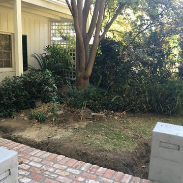 Front Yard Makeover-New Walkway, Less Turf, Awesome CA Friendly Plants