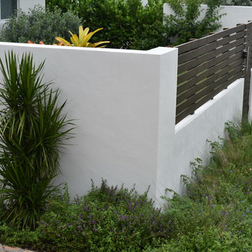 Front Yard Modern Wall and fence