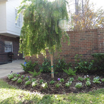 Front Yard Project in Spring Valley Village, Texas