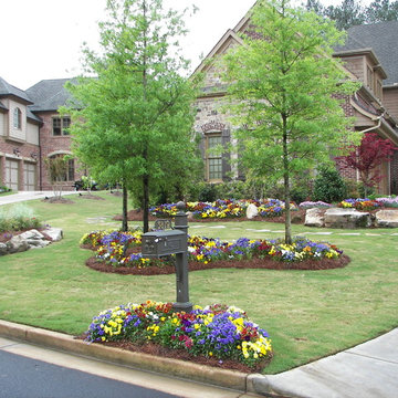 Front yard re design