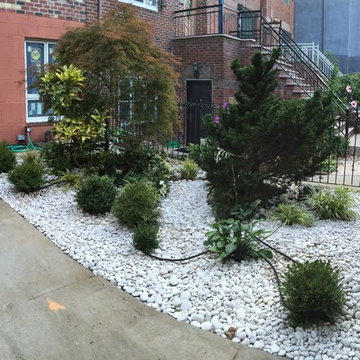 Front yard recovery in Brooklyn, NY