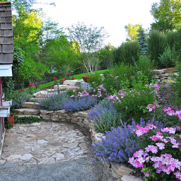Front Yard Renovation