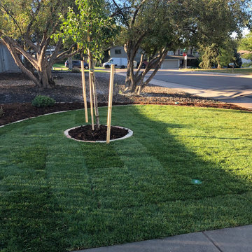 Front Yard Renovations - Denver, CO