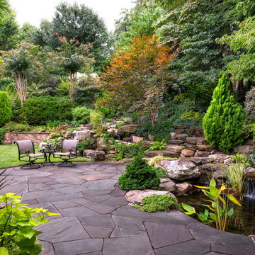 Front Yard Transformation