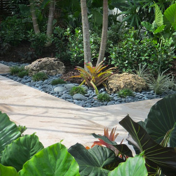 Front yard tropical garden South Florida