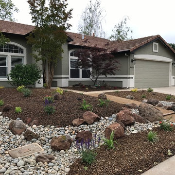 Front yard turf removal and landscape enhancement