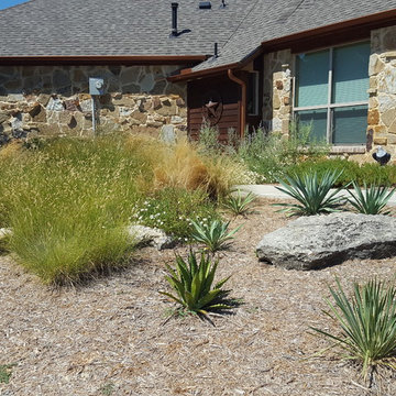 Front yard xeriscape