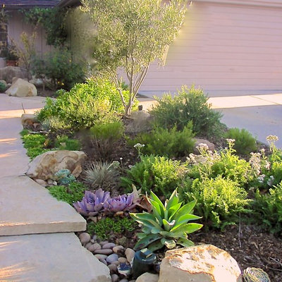 Design ideas for a contemporary landscaping in Orange County.