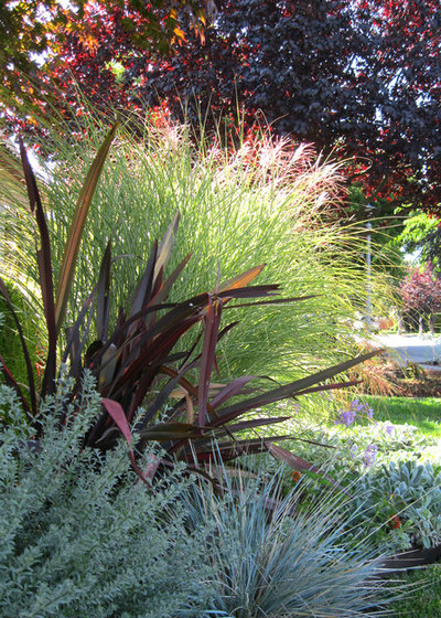 Eclectic Garden by Paradise By Design: landscape design company