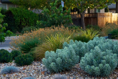 Inspiration for a mid-sized contemporary drought-tolerant and full sun front yard landscaping in San Francisco.