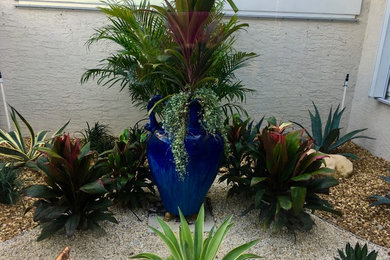 This is an example of a tropical landscaping in Orlando.