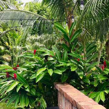 Full Home Tropical Landscape
