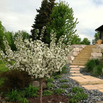 Full yard renovation