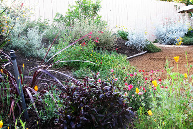 Photo of a mid-sized transitional full sun backyard landscaping in Orange County.