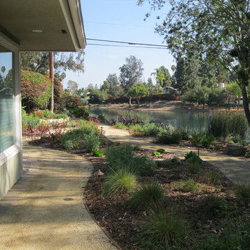 Fullerton Native/Low Water Front Yard