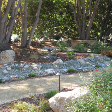 Fullerton Native/Low Water Front Yard