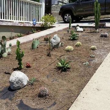 Fun(ky) Cactus Garden in progress