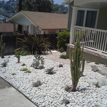 Fun(ky) Cactus Garden!