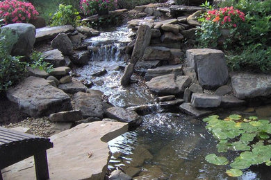 Design ideas for a transitional drought-tolerant stone pond in Other.